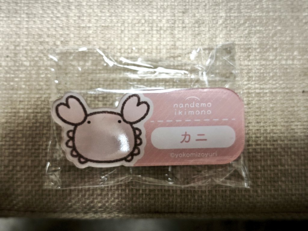 ネームバッジ蟹沢萌子ちゃんだった！！