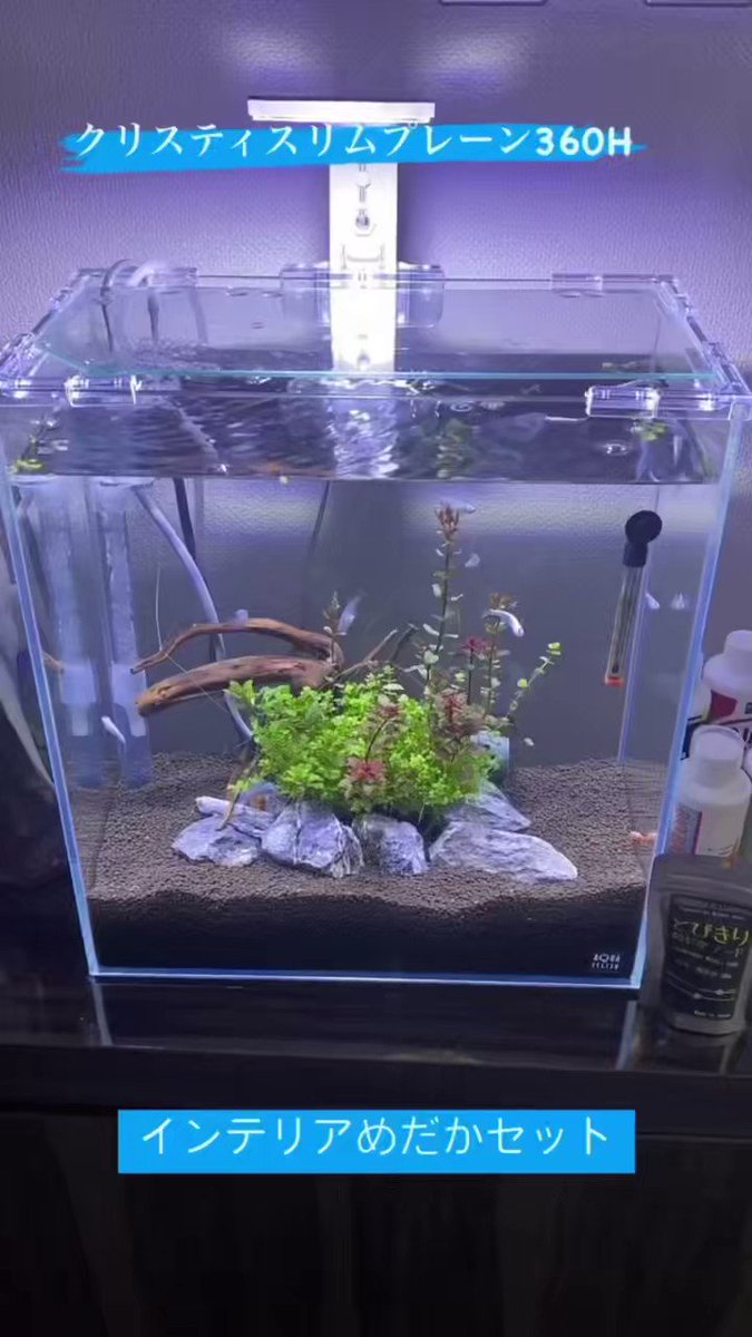 アクアシステム クリスティ 3060 人気
