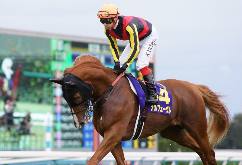 オルフェーヴル 競馬 たてがみ 毛 競馬 オルフェーヴル たてがみ