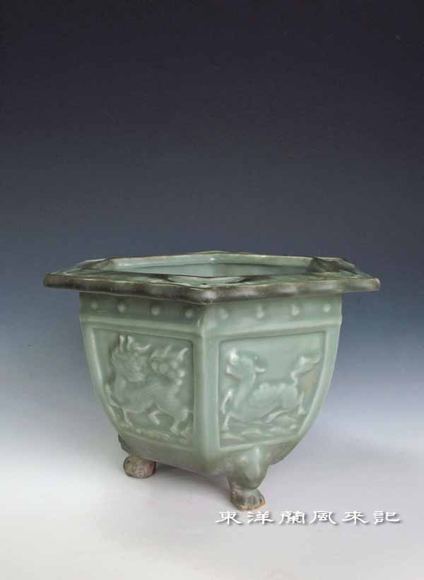 東洋蘭鉢「三田青磁鉢」 No.464 : 風来記 東洋蘭風来記 春蘭 中国春蘭