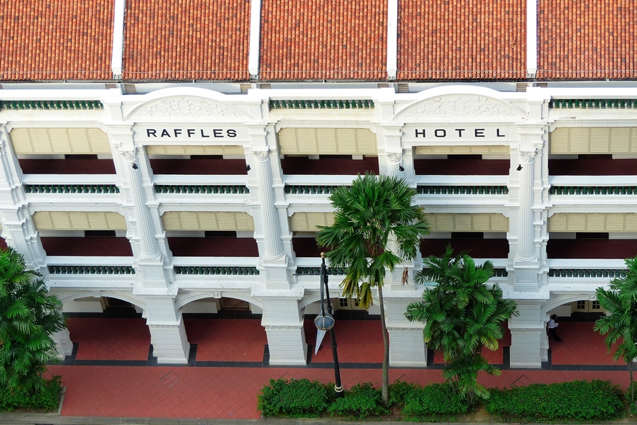 シンガポールラッフルズホテル熱帯植物リトグラフ額装仕立て