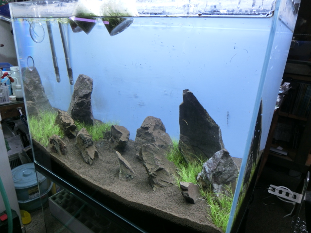 ADA万天石を使った水草レイアウト水槽 その4 : ユニアクブログ