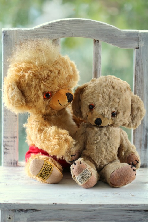 アイルランド限定チーキー CHEEKY LITTLE LEPRECHAUN アイルランド限定