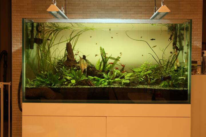 DOOA ペット用品 ADAソーラーRGB専用スタンド W600×D450