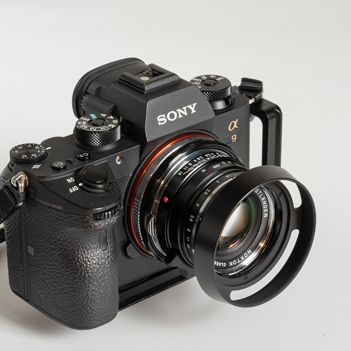 2019/03/22 NOKTON classic 40mm／F1.4 MC 滞在中！ : shindoの