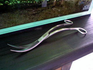 ADA プロシザース ウェーブ