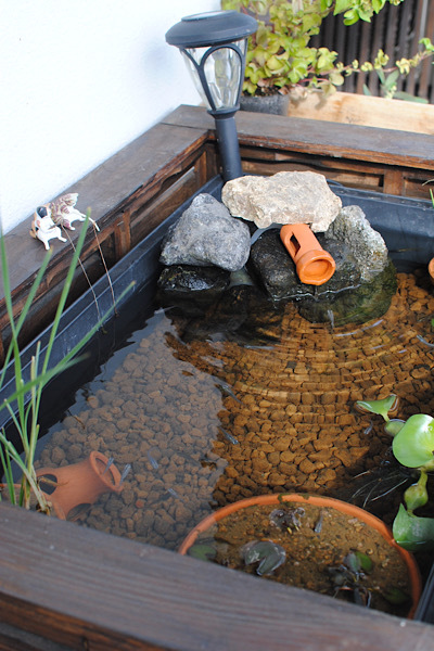 トロ舟ビオトープの水かえ ｜ それと現在のメダカ水槽も : クラシノート