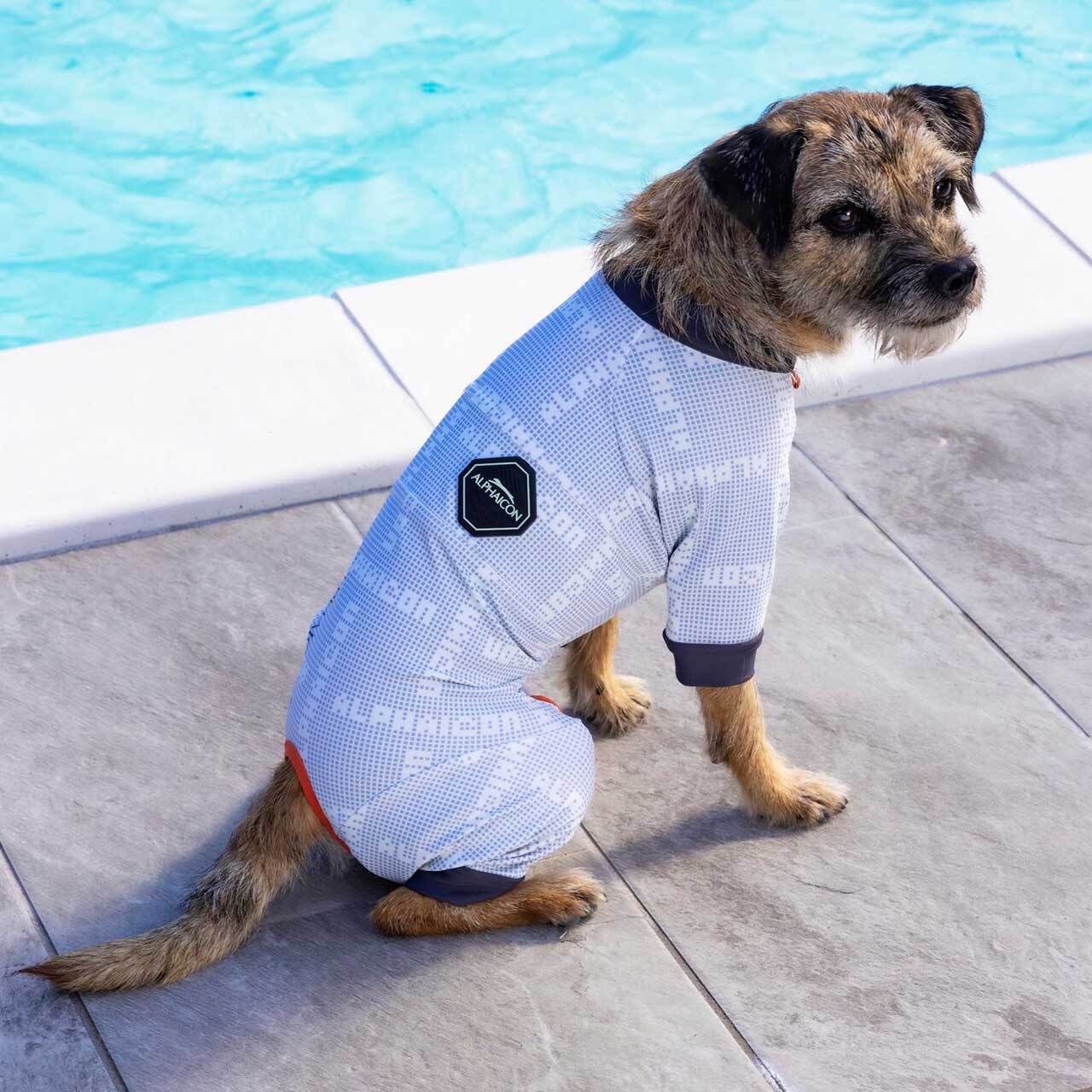 ALPHAICON アルファアイコン カラフル犬服 小型犬用【XL】 ALPHAICON