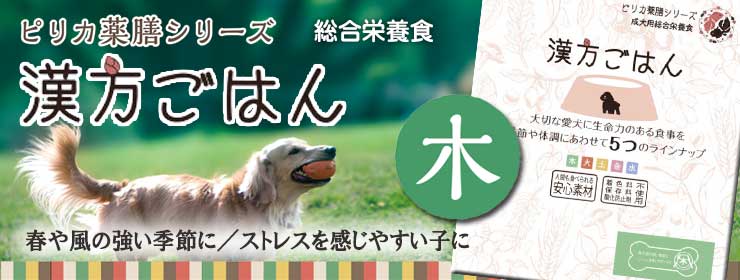 げんかつごはん（旧称：漢方ごはん）「木のごはん」 薬膳理論の