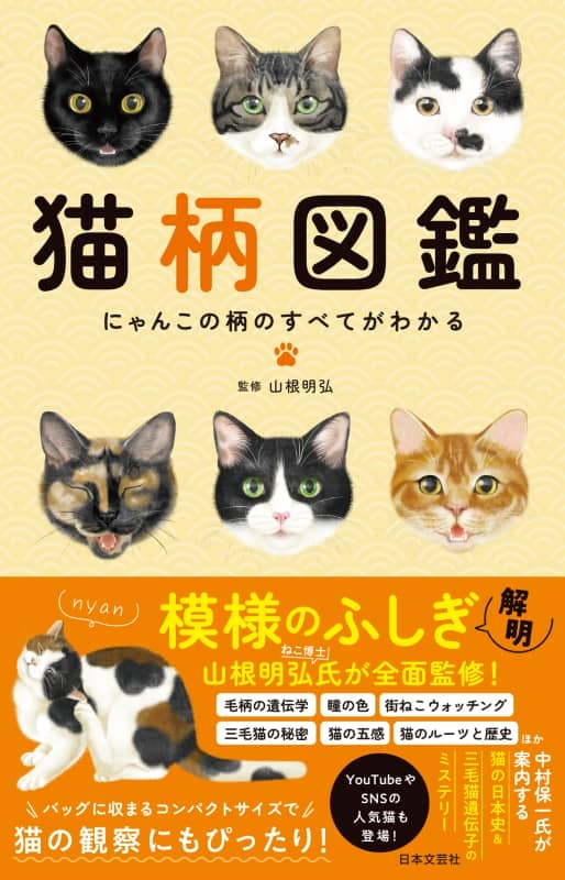 日本文芸社、“ねこ博士”が全面監修した猫の柄のすべてがわかる解説書