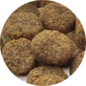 セレクトバランス グレインフリー アダルト サーモン 小粒 1才以上 成