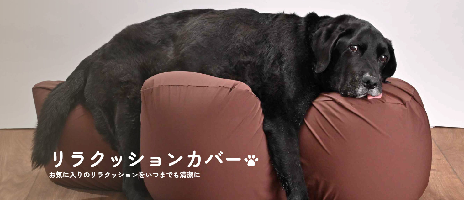リラクッション トイプードルサイズ チャコールグレー カバーセット