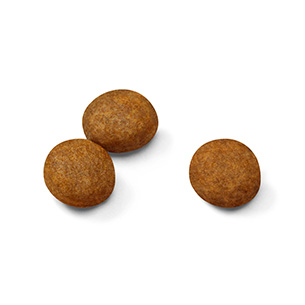 SHN マキシ パピー 大型犬 子犬用 4kg: 100｜業務用トリミング用品通販