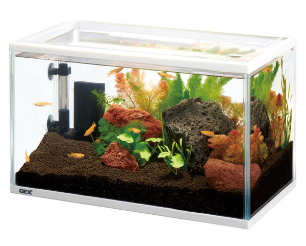 業務用メダカセット】網 水温計 スポイドなど 中古 水槽掃除用具セット