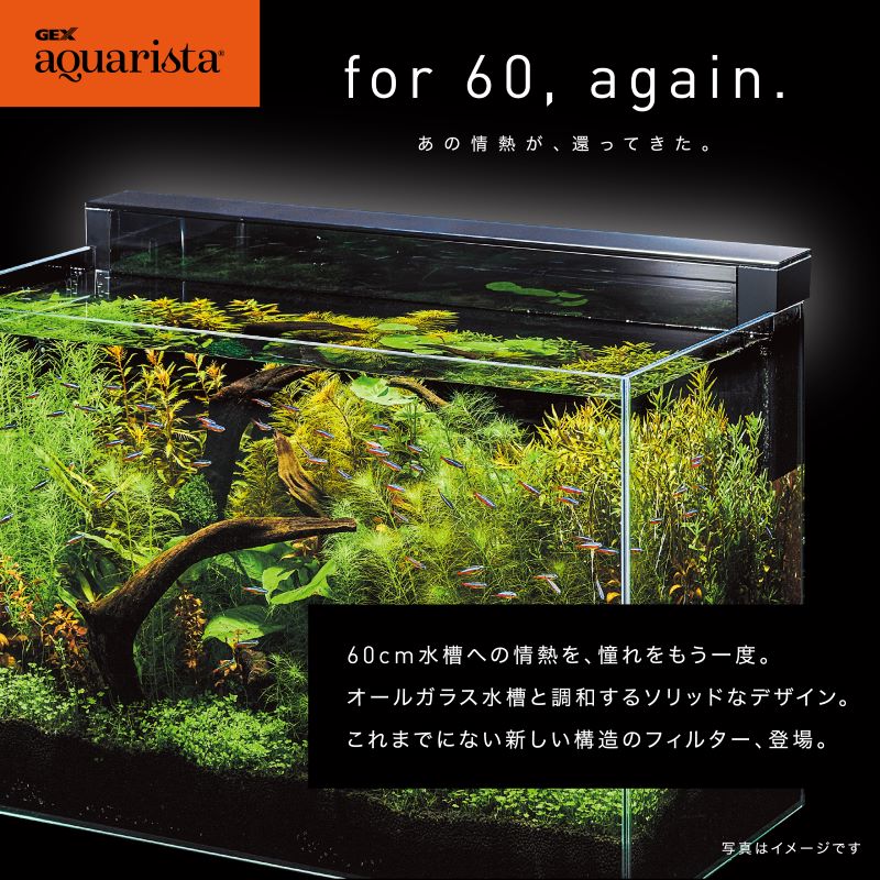 専門店用】 Ga Glassterior TS 600-GC: 100｜業務用トリミング用品通販