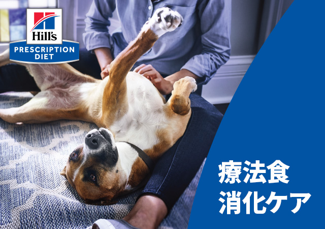 ヒルズ 療法食 消化ケア（犬） | ペットゴー