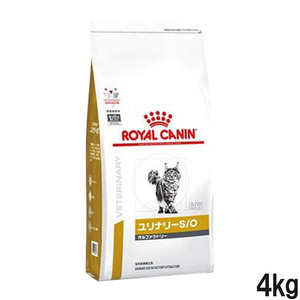 ロイヤルカナン 猫用療法食 腎臓サポート スペシャル 新品4Kg +