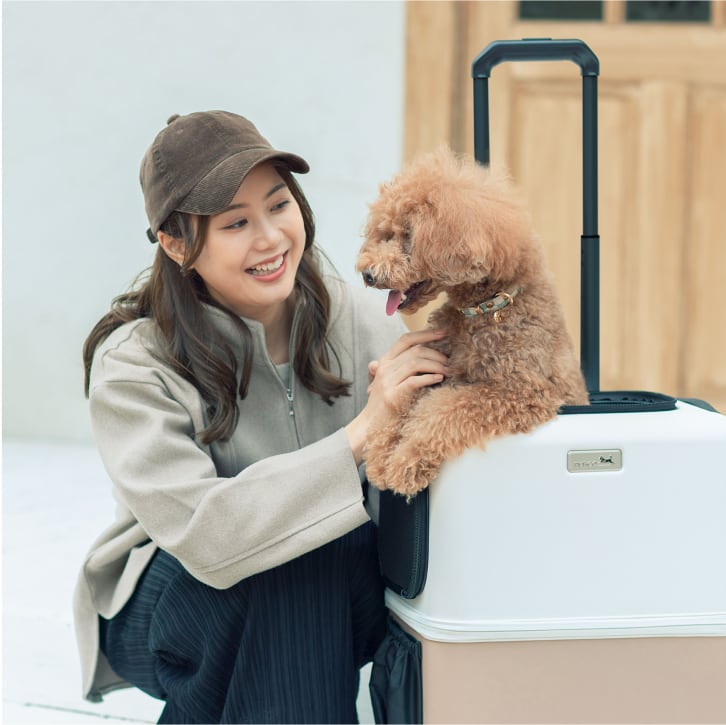 日本発のペットキャリー「PETiCO（ペチコ）」 | Legend Walker