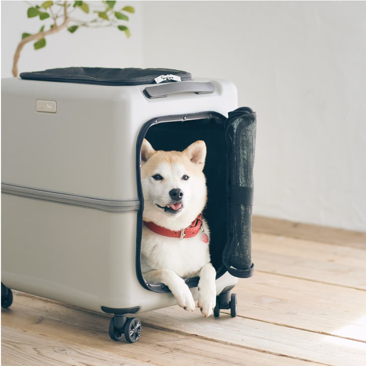 日本発のペットキャリー「PETiCO（ペチコ）」 | Legend Walker