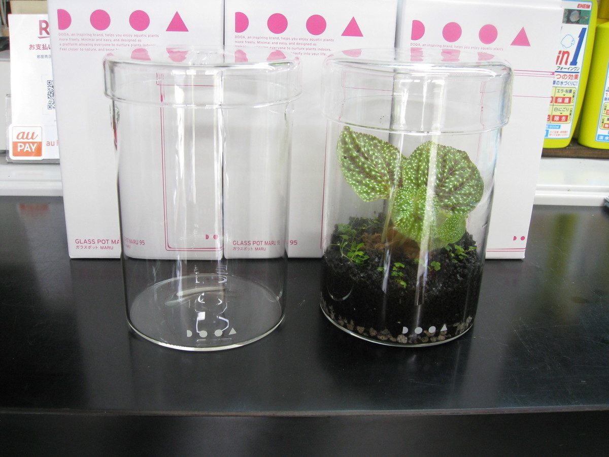 DOOA ガラスポット MARU95 & MARU130 3セット DOOA ガラスポット