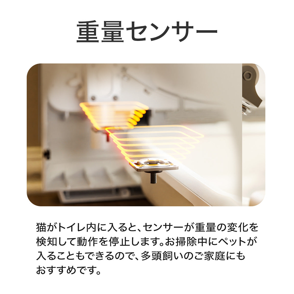 PET MARVEL 公式 自動トイレ Magic Cube 【消臭剤2個付き】 マジック