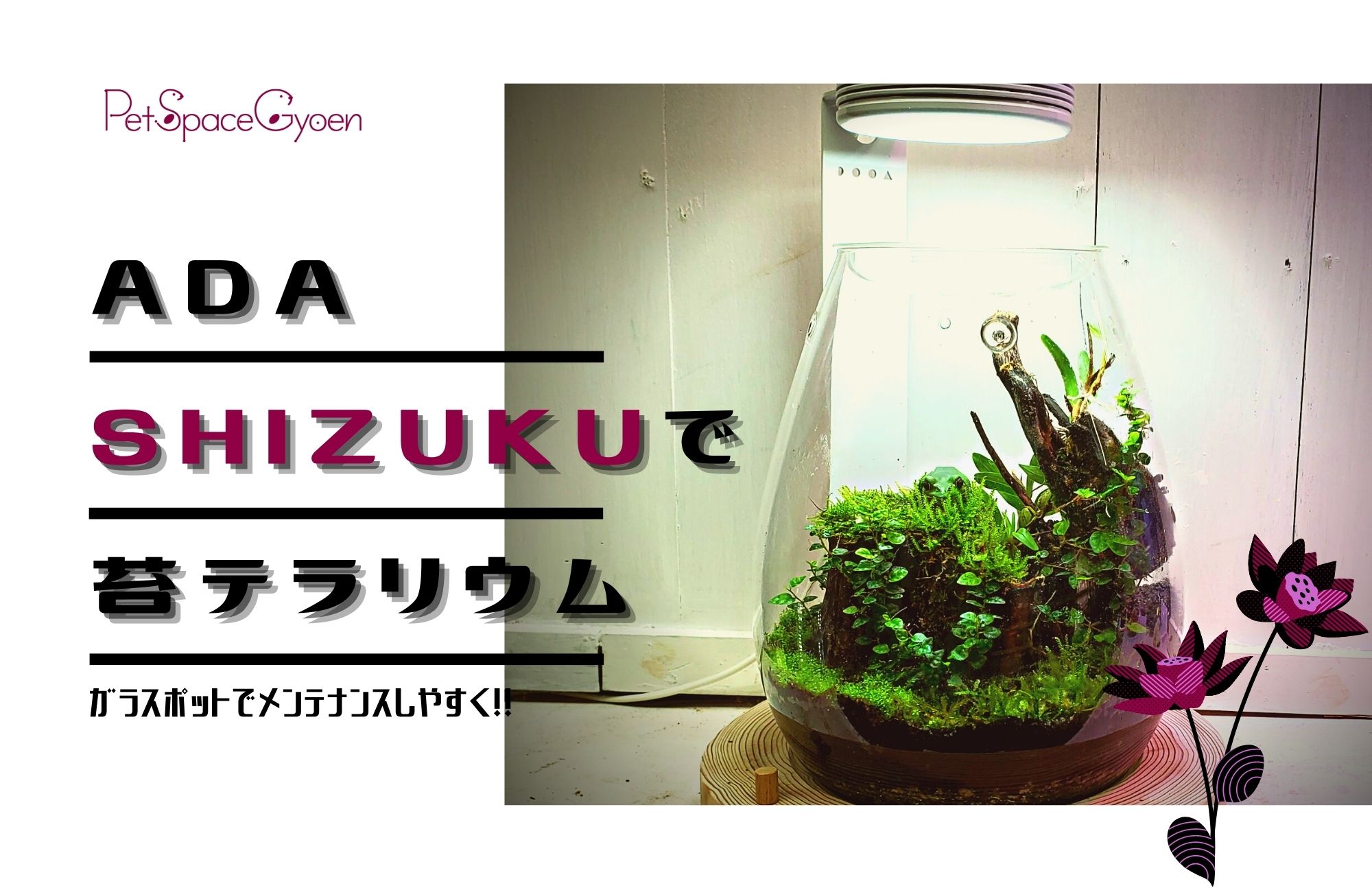 コケリウムDIY】ADAのSIZUKUでおしゃれでメンテしやすいコケリウムを