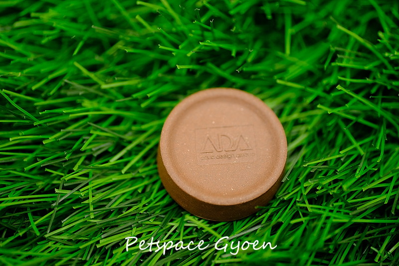 ADAの虫音（過去商品）で鈴虫を飼育 できれば繁殖 | ペットスペース