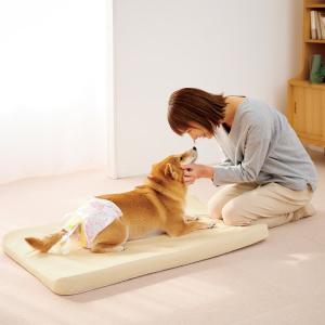 アルテア体圧分散マット (犬 介護マット・ベッド 床ずれ予防)｜入院