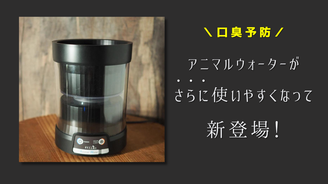 愛犬の口臭・歯石予防に新提案】進化したアニマルウォーター3を紹介し