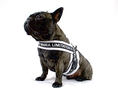 ロゴテープハーネス フレブルサイズ pim:liko（ピムリコ）