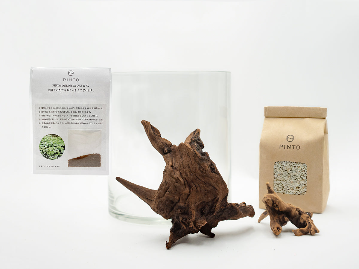 流木指定グラスアクアリウムセット CYLINDER007 – PINTOオンラインストア