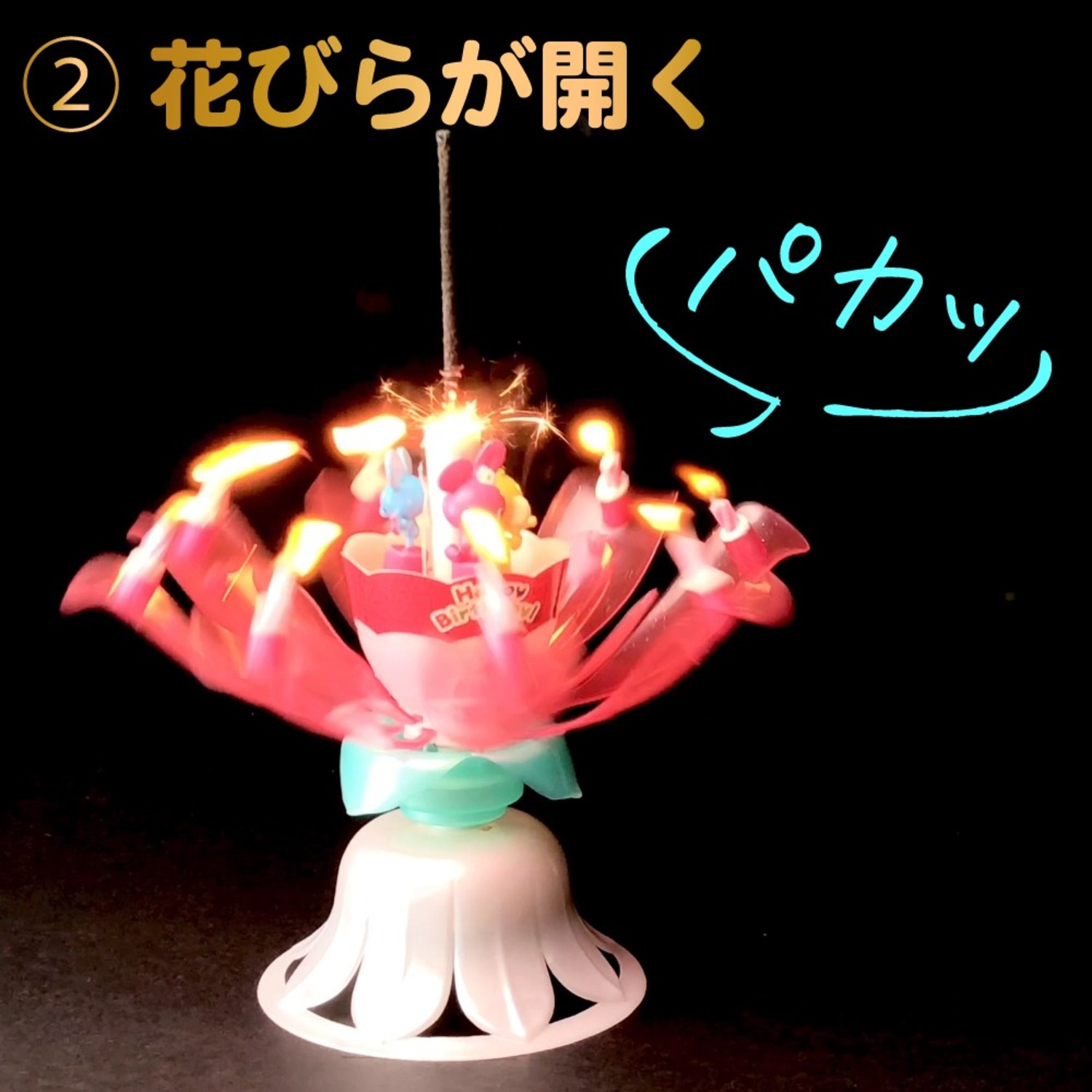 ドリームキャンドルデラックス ＜ 公式ドリームキャンドルストア