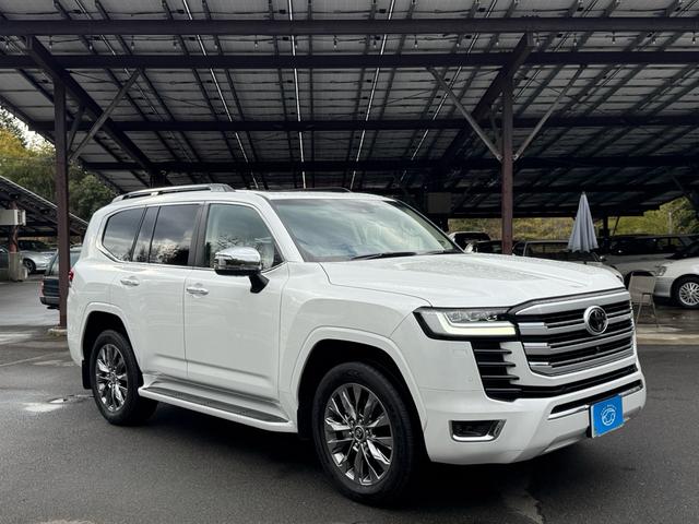 購入取引済み専用品 専用出品 専用出品 専用出品 2025年最新】Yahoo