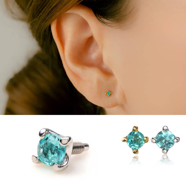 bpp-paraiba-1_600x.jpg?v=