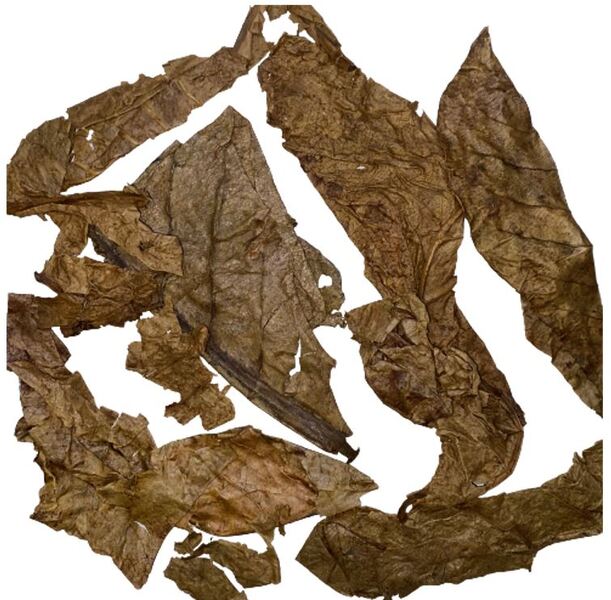 puipuiさん専用】マジックリーフ 1kg puipuiさま専用】マジックリーフ