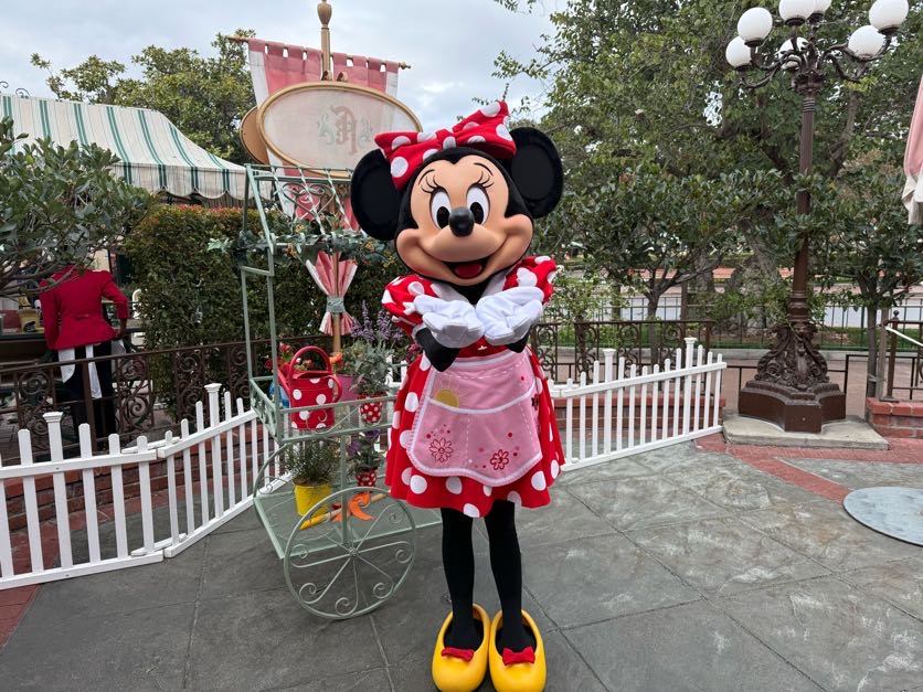 ディズニー ミニー ミニーマウス｜ミッキーマウス クラブハウス