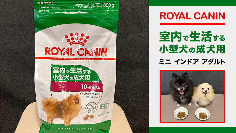 オンライン ロイヤルカナン ミニインドアアダルト10kg 室内で生活する