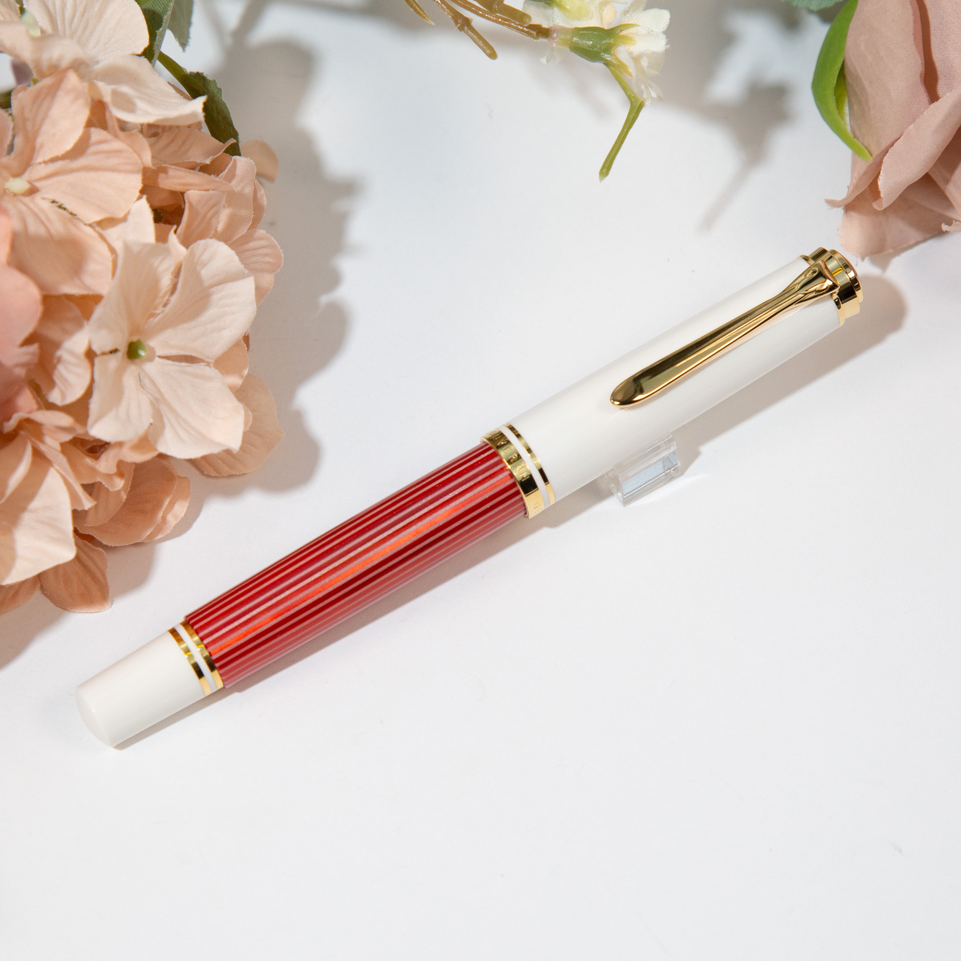 MG_4558.jpg?v=1711692970&width