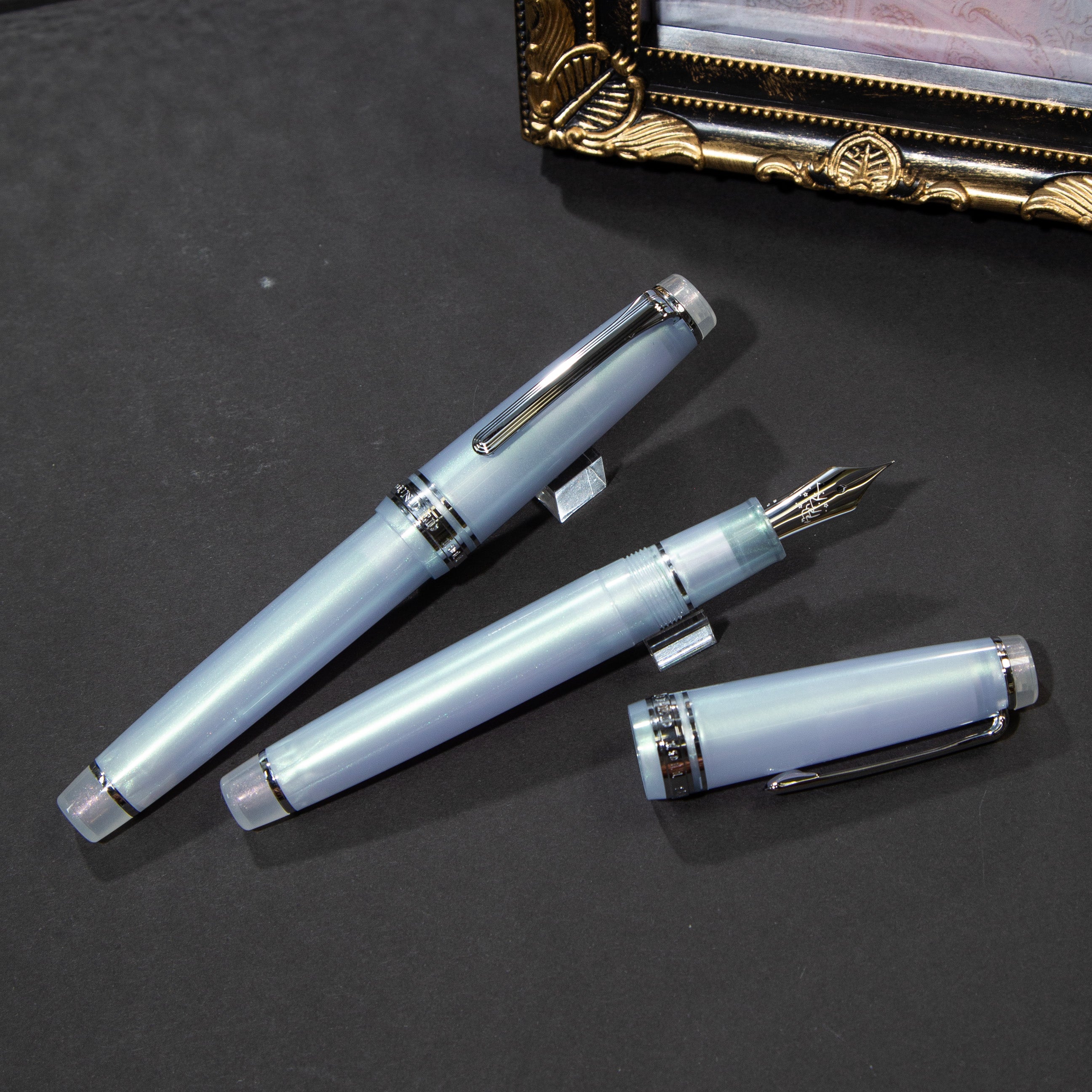 SAILOR セーラー 万年筆 THE SAILOR LIFE TIME PEN 14K M SAILOR