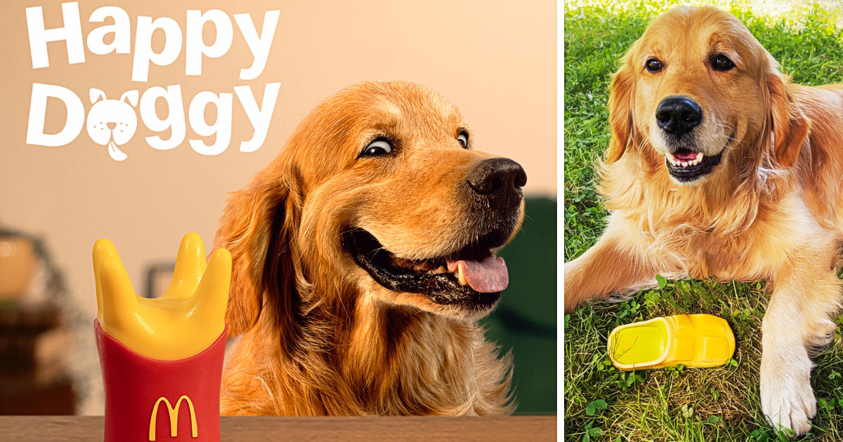 犬も喜ぶハッピーセット。マクドナルド仏の「Happy Doggy」誕生 – ぽりとぴ
