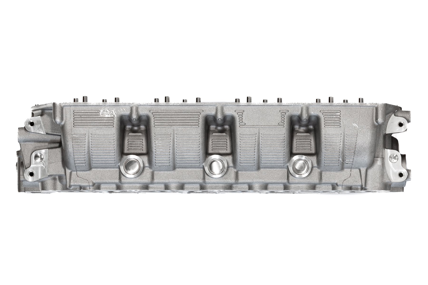 ドッグフード Rim1113 ドッグフード Rim1113 楽天市場】【公式