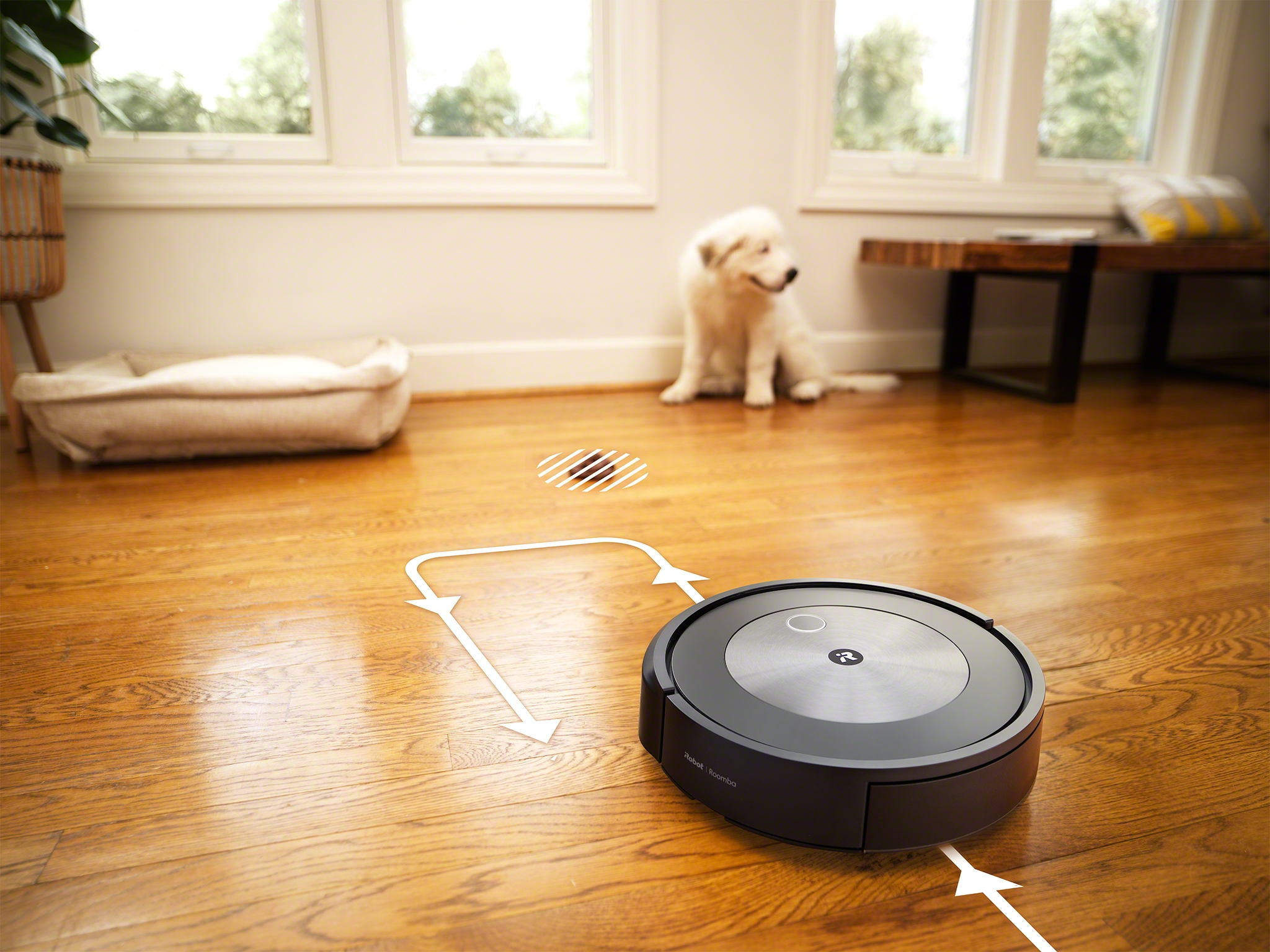 Roomba_j7_j7__Object_Detection