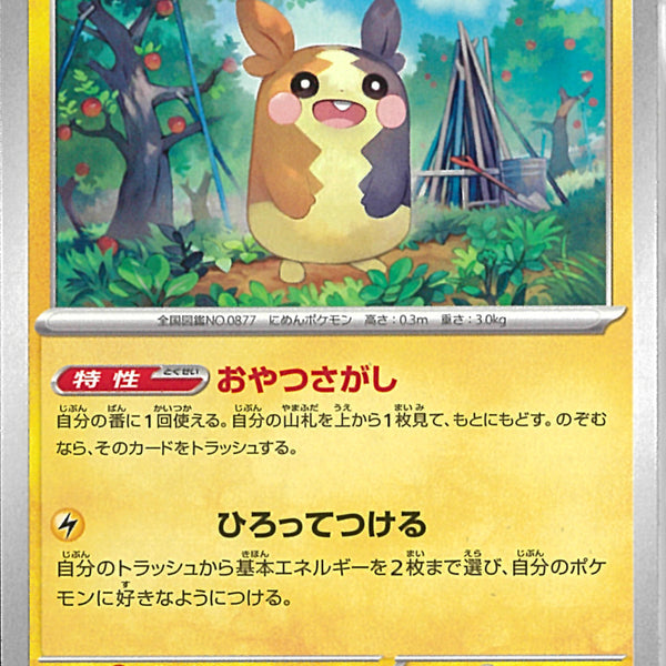 U)モルペコ(030/066)