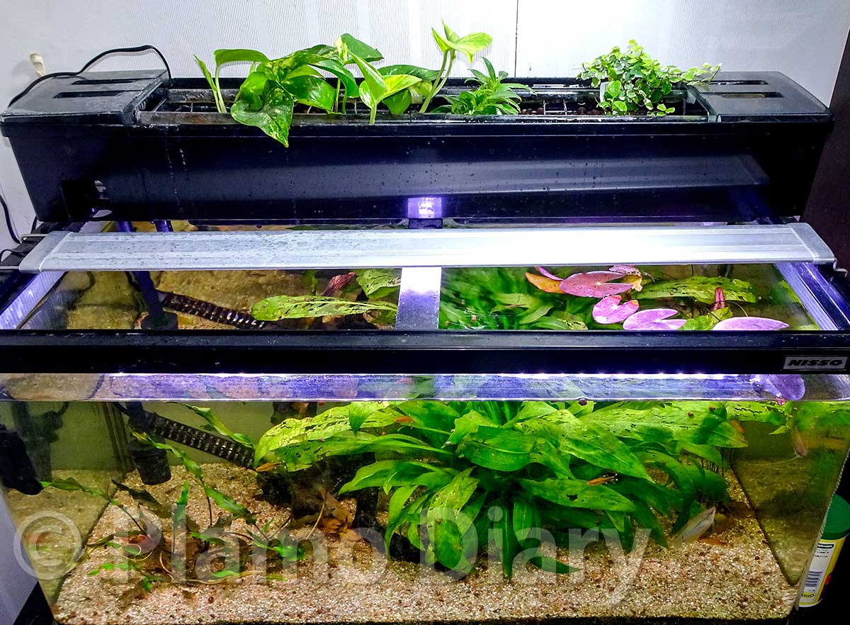 プラモ日記 » 2ヶ月ぶりの更新です