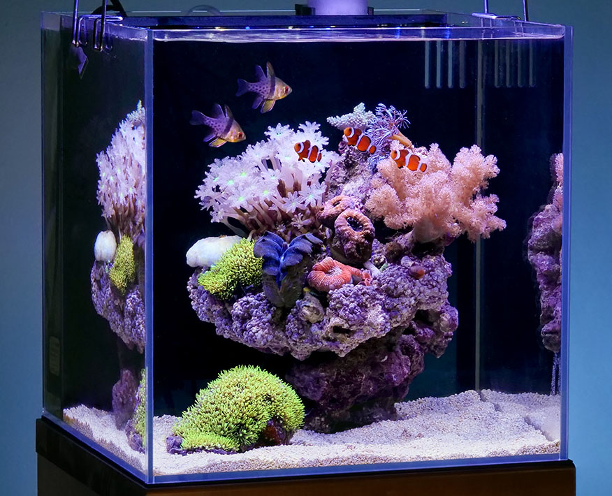 plantstech / TOPページ