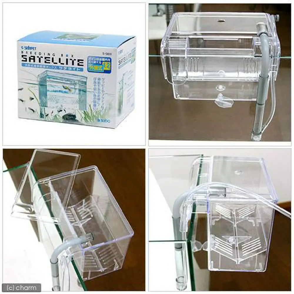 plantstech / スドー 外掛式産卵飼育ボックス サテライト