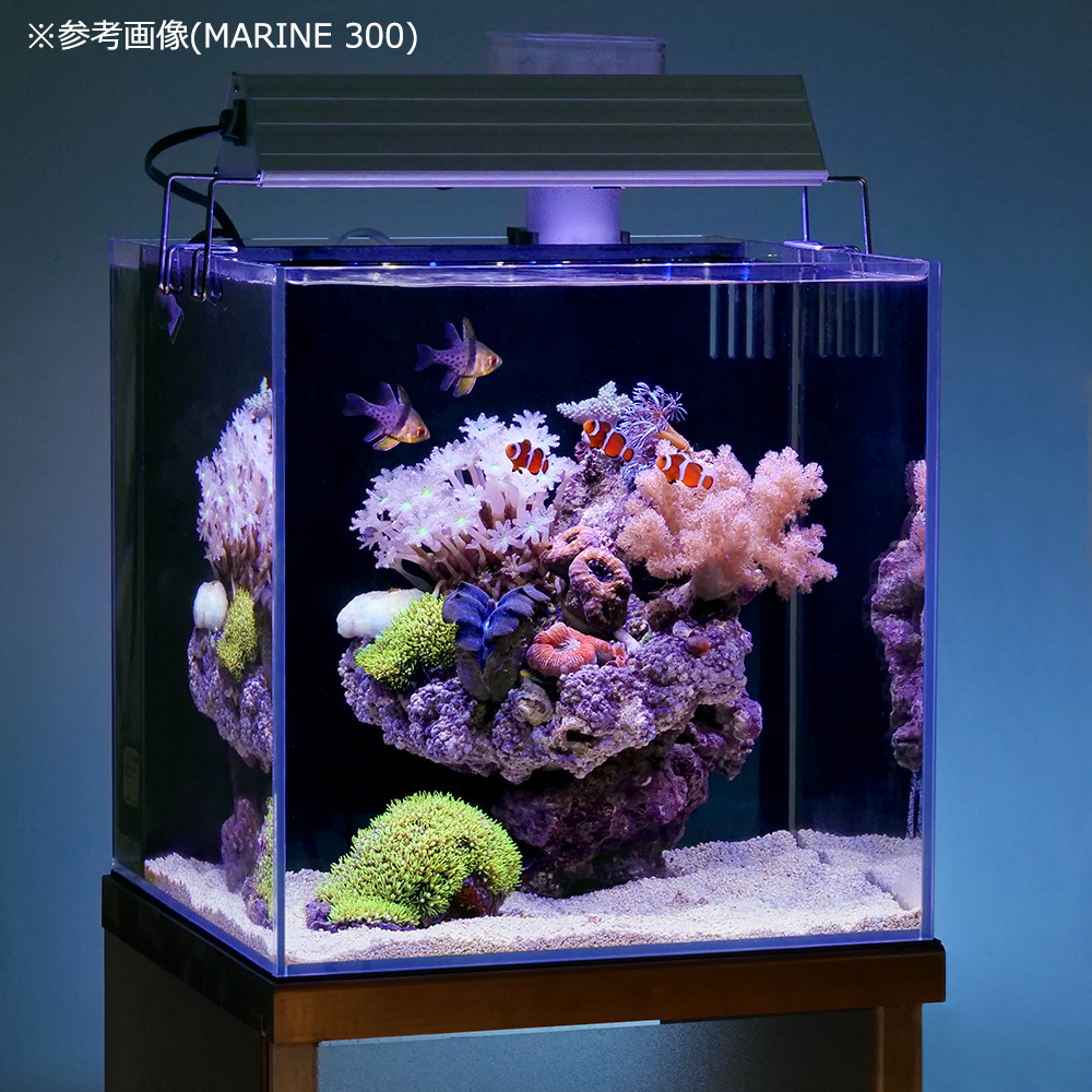 plantstech / アクロ TRIANGLE LED MARINE 600