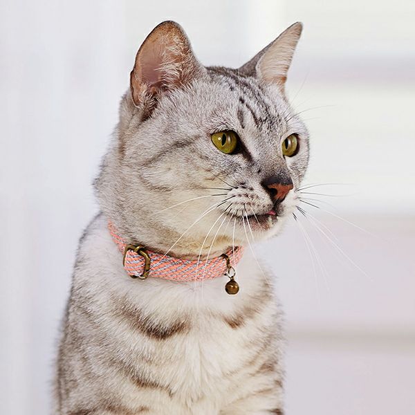 猫の首輪のオーダーページ 猫用 首輪 [オーダー受付ページ] 猫 首輪
