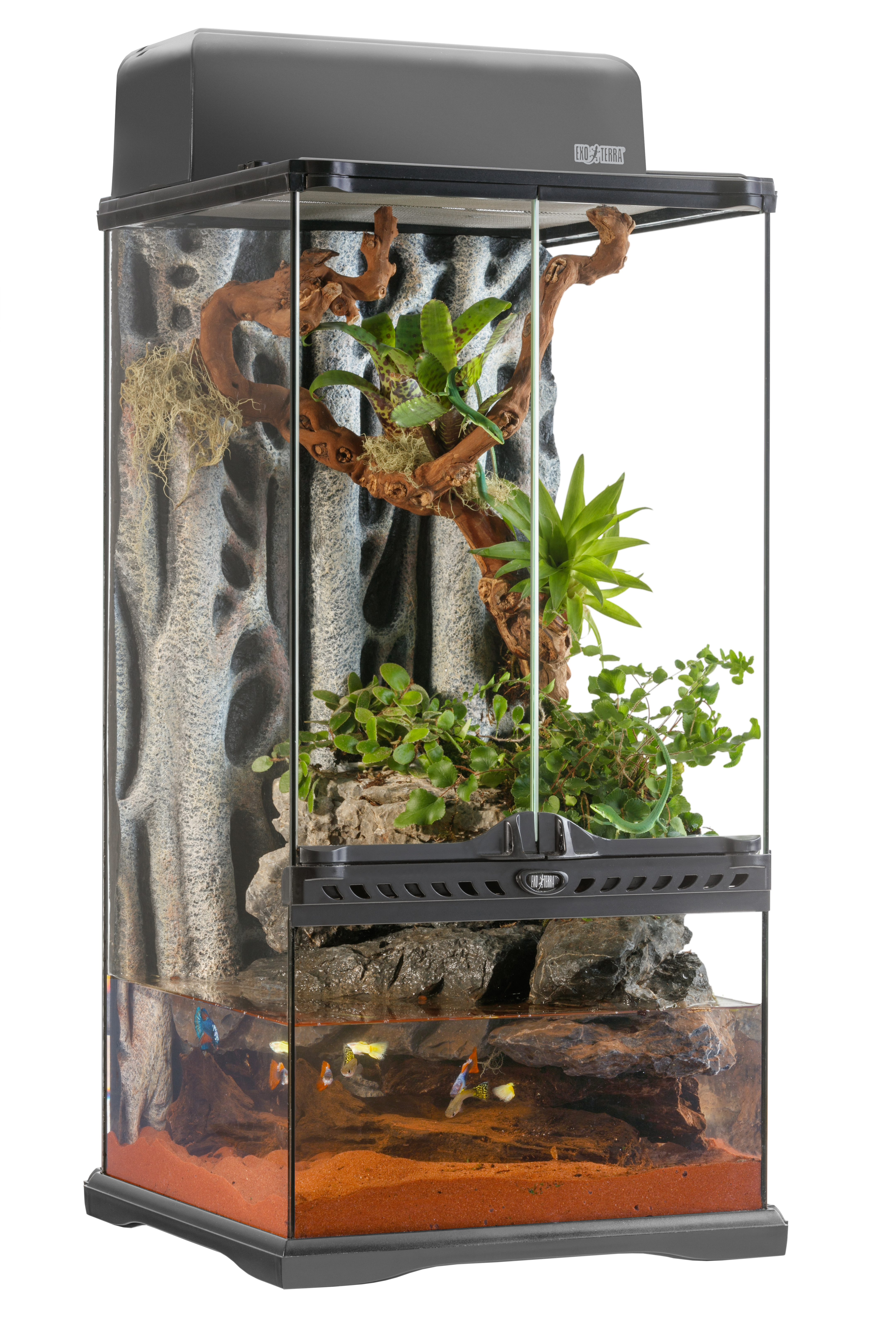 グラステラリウム9045 送料込