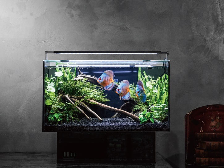 mydata_1781.jpg?1769826742